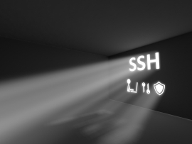 The words SSH beams through a wall.