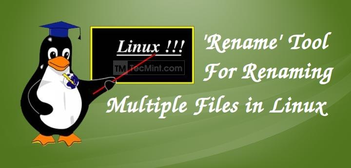 Rename Multiple Files in Linux