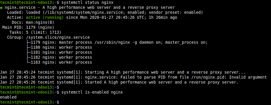 Check Nginx Status